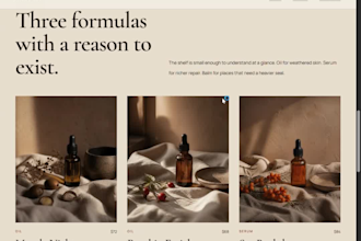 build you a beautiful website