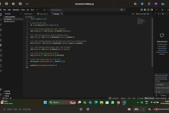 do python data cleaning and automation for excel or CSV