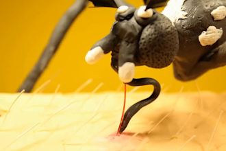 create intro claymation, logo animation, stopmotion video, character design