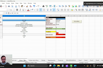 your microsoft excel spreadsheet expert  VA