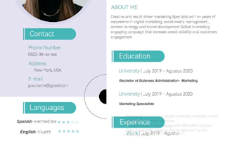 professionally format and redesign your resume or CV