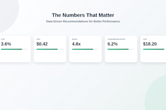 audit your meta ads and create a growth marketing strategy