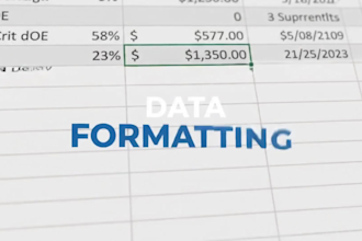 do data entry excel data cleaning