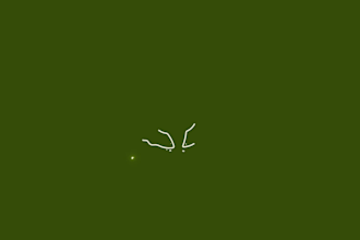 custom logo animation for your company or brand