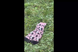 create dog ugc video for your brand