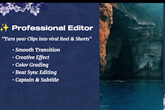 professional high level editing