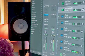 be your professional music producer, mix and master engineer