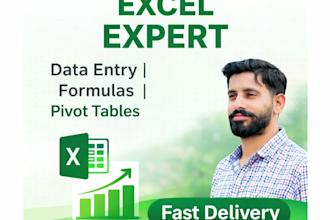 do professional microsoft excel data entry and data cleaning