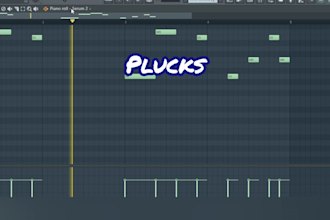 make a custom hip hop or trap beat for your song