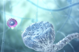 3d medical animation for accurate anatomy visualization, training