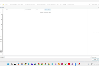 develop custom bricscad plugins, brx tools, and cad automation