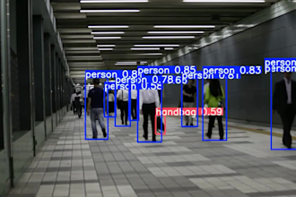 advanced custom object detection using yolov10