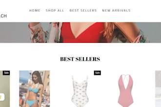 redesign and build a winning shopify dropshipping store with hot selling product
