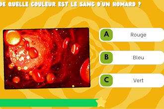 make a custom canva template for your quiz videos