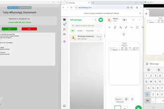 provide an automated tally erp statement to whatsapp  bot desktop application