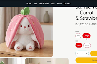 design and customize a professional shopify store