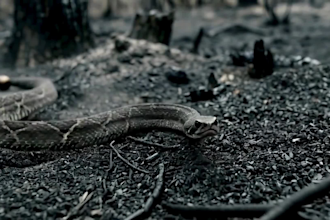 l create brutal cinematic ai metal music video with dark epic visuals in 4k