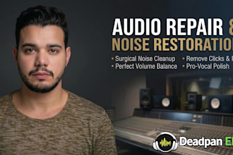 professionally clean, restore, and enhance your audio or voice recording
