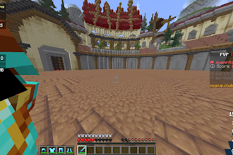 coach you in minecraft sword pvp