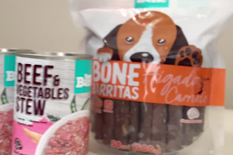 create ugc content for your pet brand tiktok video ads