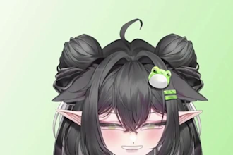 create a live2d vtuber model and avatar with professional live2d rigging
