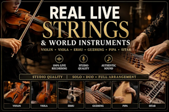record real violin, viola, pipa, sitar, erhu, and guzheng for your track
