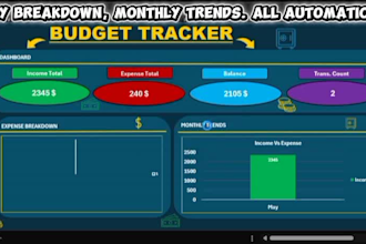 create a professional excel budget tracker for you