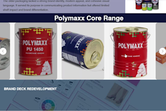 design complete branding and professional product packaging