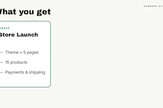 build shopify store design with ai chatbot and abandoned cart recovery