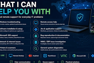 provide remote IT support for windows and software issues