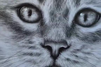 create a stunning handmade graphite and charcoal portrait