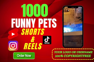 create 1000 youtube viral shorts and funny pet videos