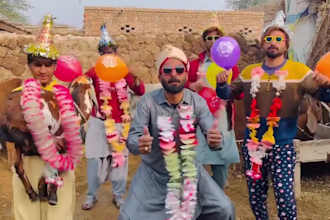 african happy birthday video african happy birthday video