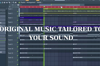 produce a custom beat or instrumental for your song