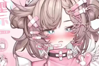 give a premade model for cheap