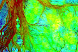 mineral exploration and gold detection using remote sensing