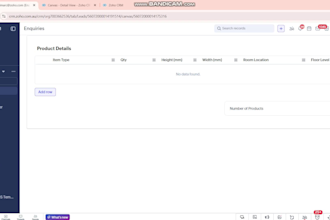 customize zoho CRM canvas for the detail page and form view