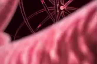 create 3d medical surgery health product anatomy human body animation