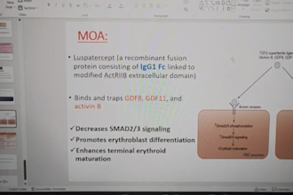 prepare medical ppt for presentation