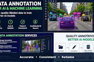 do data annotation and image labeling expert