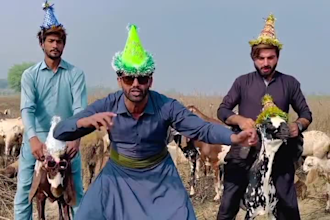 birthday video or happy birthday video