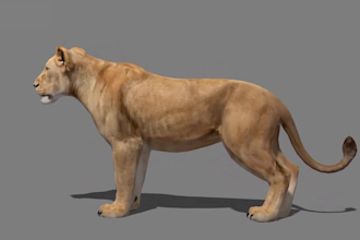 create 3d realistic animal model 3d creature design, animal model in unity
