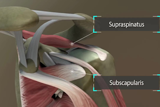 create high quality 3d medical animation, 3d product animation