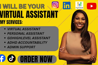 be executive personal gohighlevel virtual assistant social media admin assistant