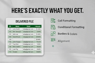 professionally format excel spreadsheets and google sheets