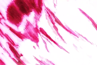 create ai anime video, anime music video and manga trailers