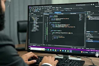complete c sharp project in visual studio within 12 hours