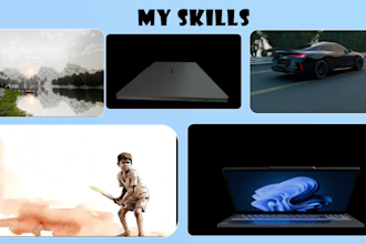 provide professional video editing and colour grading