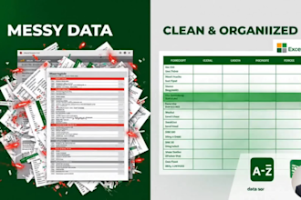 do professional data cleaning, data formatting, and remove duplicates in excel
