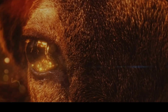 do vfx compositing and cinematic cgi for films